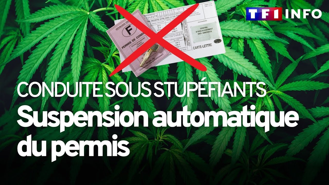 Drogue au volant : la suspension du permis de conduire rendue automatique