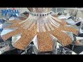 Samfull 2.0T dry dog food dog meal 500g 1kg 2kg gusset bag vertical vffs packaging machine