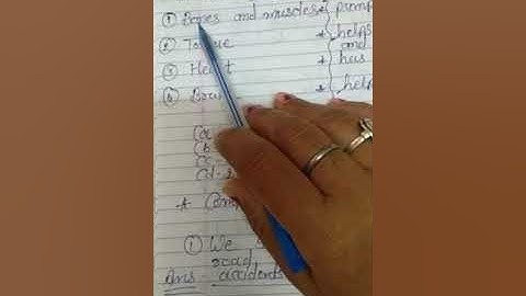 std 2 evs chapter 15 exercises