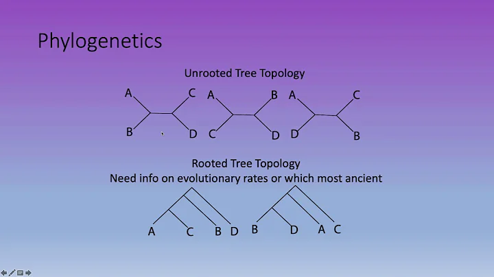 Bioinformatics Lecture 12: Phylogenetics and Molecular Clocks
