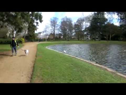 80. Бесплатные Теннисные Корты в Оксфорде. Free tennis courts in Oxford, Hinksey Park.