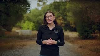 What is Stormwater Management?