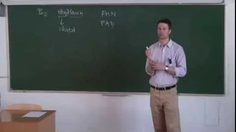 Jak se doplňovat vitamíny a minerály?