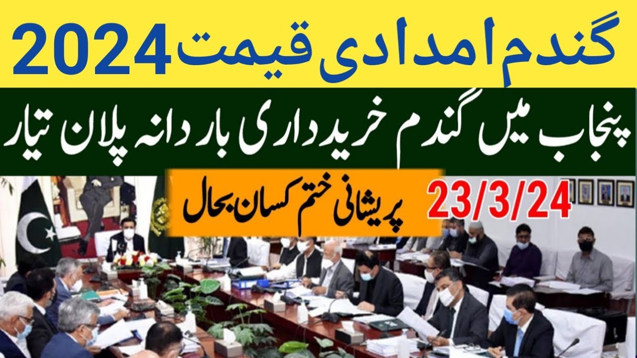wheat support price in Punjab Pakistan 2024 | wheat price update today ...