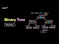 Introduction to Binary Tree in Data Structures | Data Structures and Algorithms | Tutort Academy