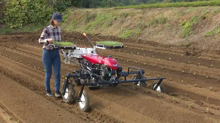 Automatic Tree Transplant Machines Smart Farming With Intelligent Technology