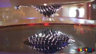 Magnetic Ferrofluid Magnetoscope