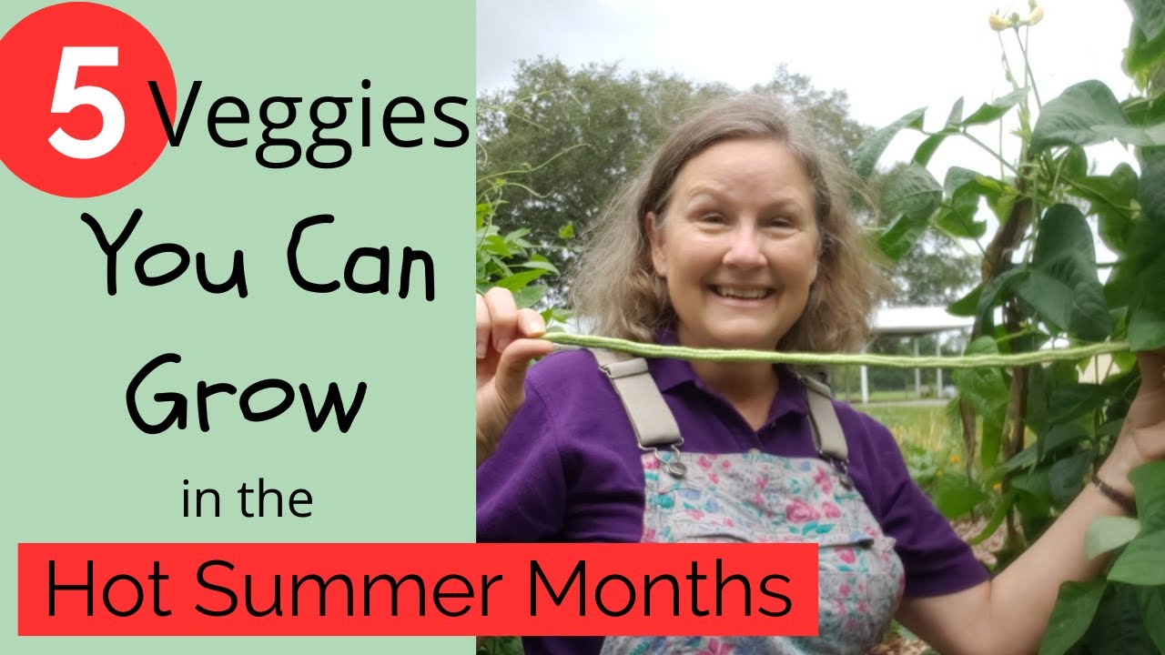 You CAN grow veggies year round in Florida. YouTube