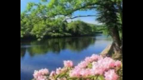 سورة لقمان بصوت القارئ إسلام صبحي تلاوة رائعة ❤️