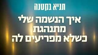 תניא בקטנה - איך הנשמה שלי מתנהגת כשלא מפריעים לה