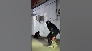 Begode Extreme In the Sky #electricunicycle #euc #begode