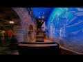 【4K 2160p】ピノキオの冒険旅行 (東京ディズニーランド)