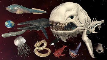Space Bloop Vs Space Whale Vs Sea Monster Size Animation Comparison - 3D