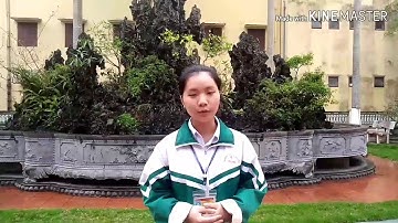 Thầy cô trong mắt em/11A7 K58 THPT A HẢI HẬU