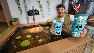 Building a POND Full of BABY TURTLES!! (Start to Finish)