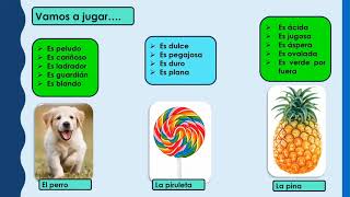Los adjetivos calificativos /Para Primero y Segundo Primaria/ Los adjetivos calificativos /Para Primero y Segundo Primaria/