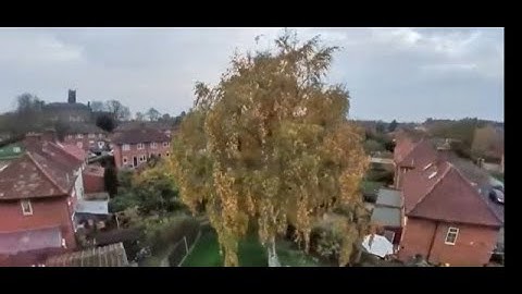 Tinyhawk 2 freestyle insta360 go London fpv taranis qx7 aomway commander cinewoop emax flowstate