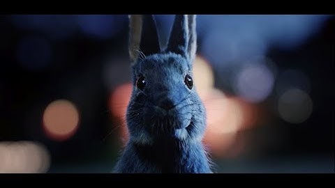 Follow The Rabbit - Priority Tickets to unforgettable live music nationwide | O2