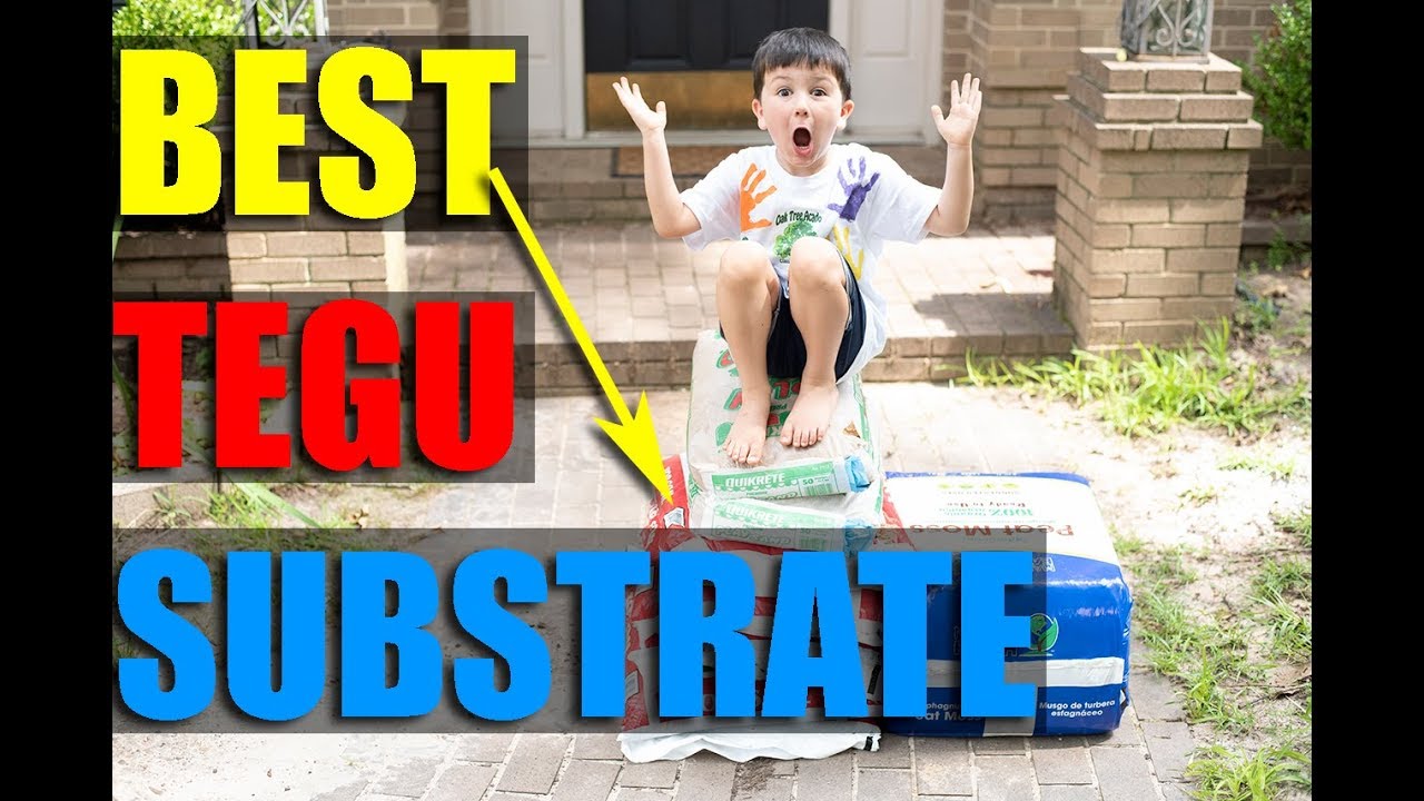 Tegu Substrate Best Substrate For Your Tegu! - YouTube