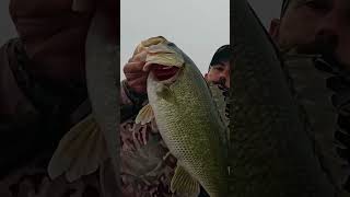 2026 Santee Cooper Major League Fishing Pro Circuit Day #2