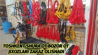 TOSHKENT SHURA BOZORI OT JIXOZLARI BOZORI NARXLARI TEL +998946260451 @Xiloliddin_Uz