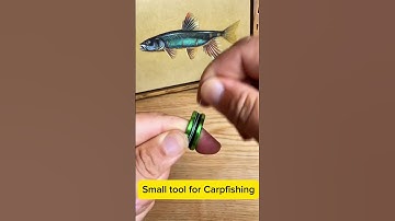 A super good tool for carp fishing#fishinggear #fishingtackle #fishingaccessories #carpfishing