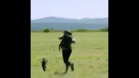 bear Grylls with lion / running wild with bear Grylls/ Man Vs wild