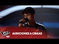 Agustín Iturbide - "Perfect" - Ed Sheeran - Audiciones a Ciegas - La Voz Argentina 2018