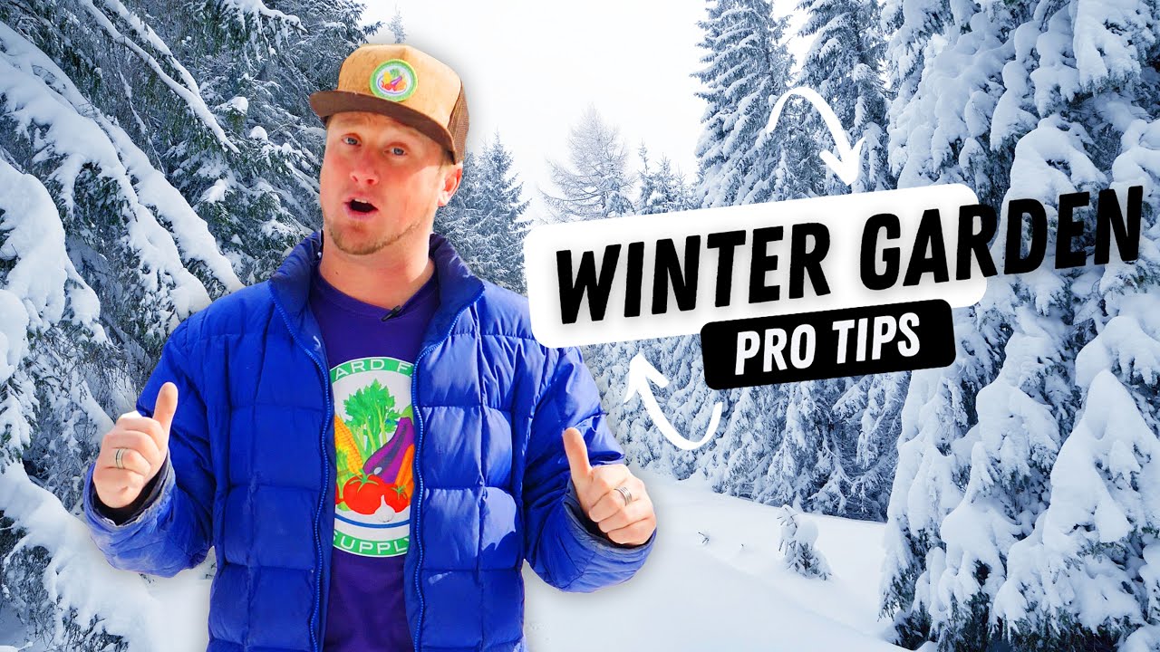 Unlock the Secret to Winter-Proofing Your Plant Fertilizer!