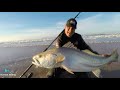 FISHING for Cob/Mulloway with LURES from the beach. BIG fish.