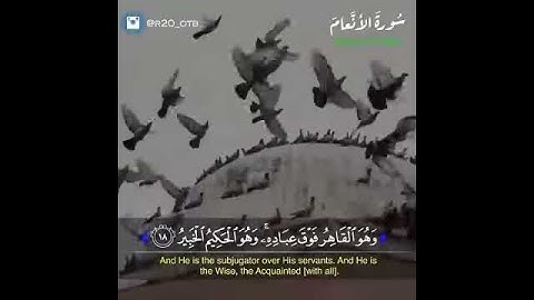 تلاوة خاشعة وآيات مباركة من سورة الأنعام.📚/القارئ عبدالله الموسى../حالات واتس أب دينية..💞