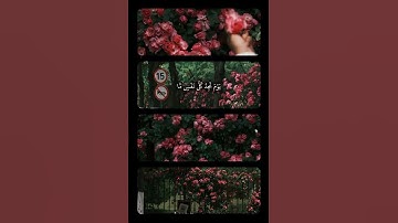 #تلاوة_خاشعة #فارس_عباد #قران_كريم
