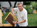 Прием маток | Подсадка пчеломаток при помощи колпачка