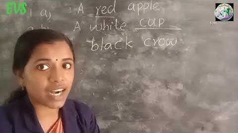 1 STD/EVS/PART 4/29-06-2021/MARKAZ ENGLISH SCHOOL