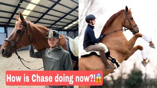 How To Start Riding Bitless + Chase Update