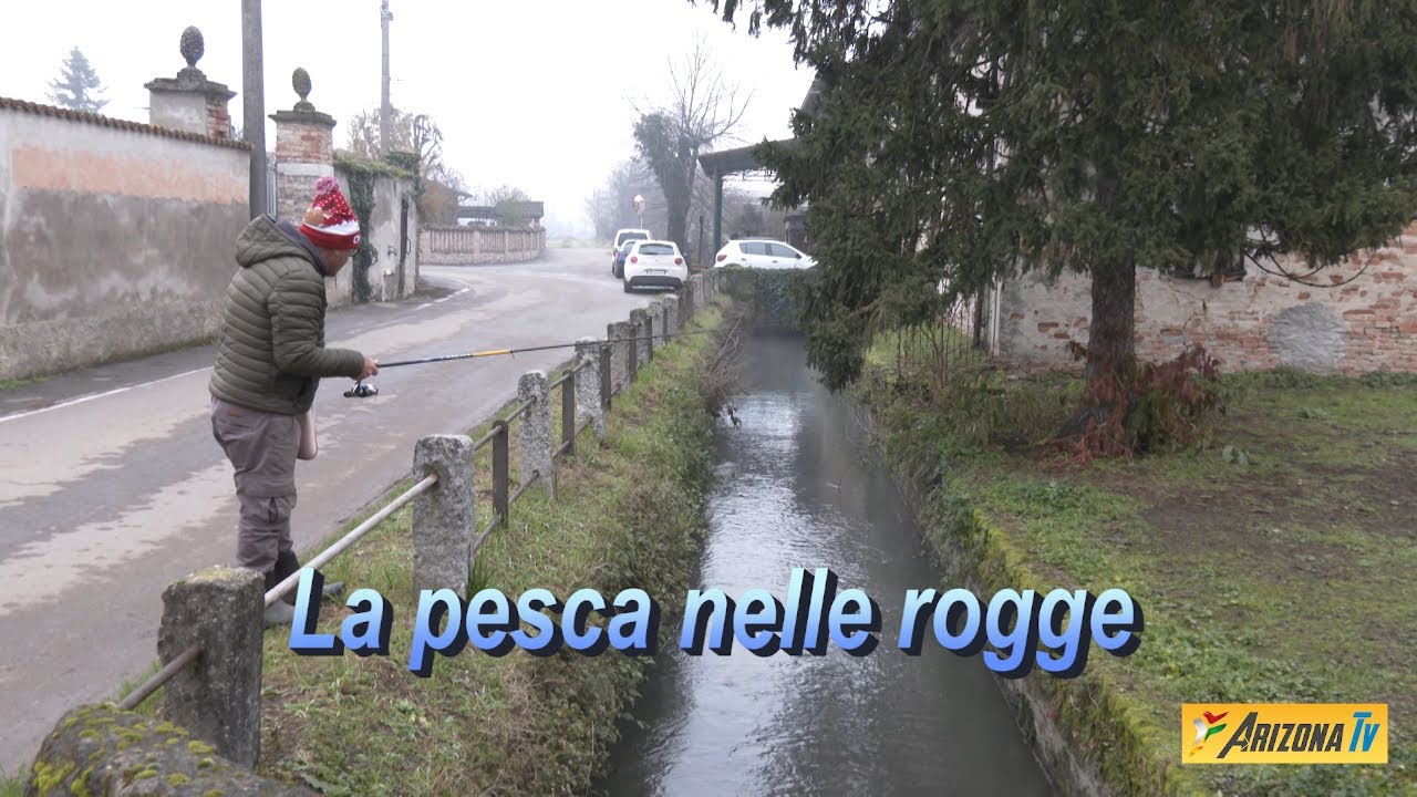 MONDO PESCA - LA PESCA  NELLE  ROGGE - IL MULINO DEI VAIRONI DEI CAVEDANI E DEI TRIOTTI  #fishing