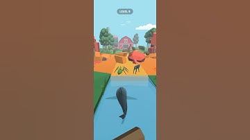 happy animal transform race I win