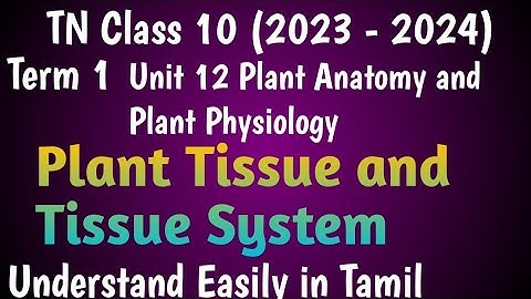 Plant Tissue and Tissue System| Class 10 Science Term 1 Unit 12 Plant Anatomy and Plant Physiology