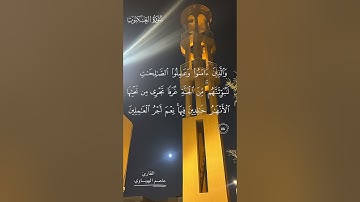 القرآن الكريم-ماتيسر من سورة العنكبوت بصوته القارئ عاصم الهوساوي