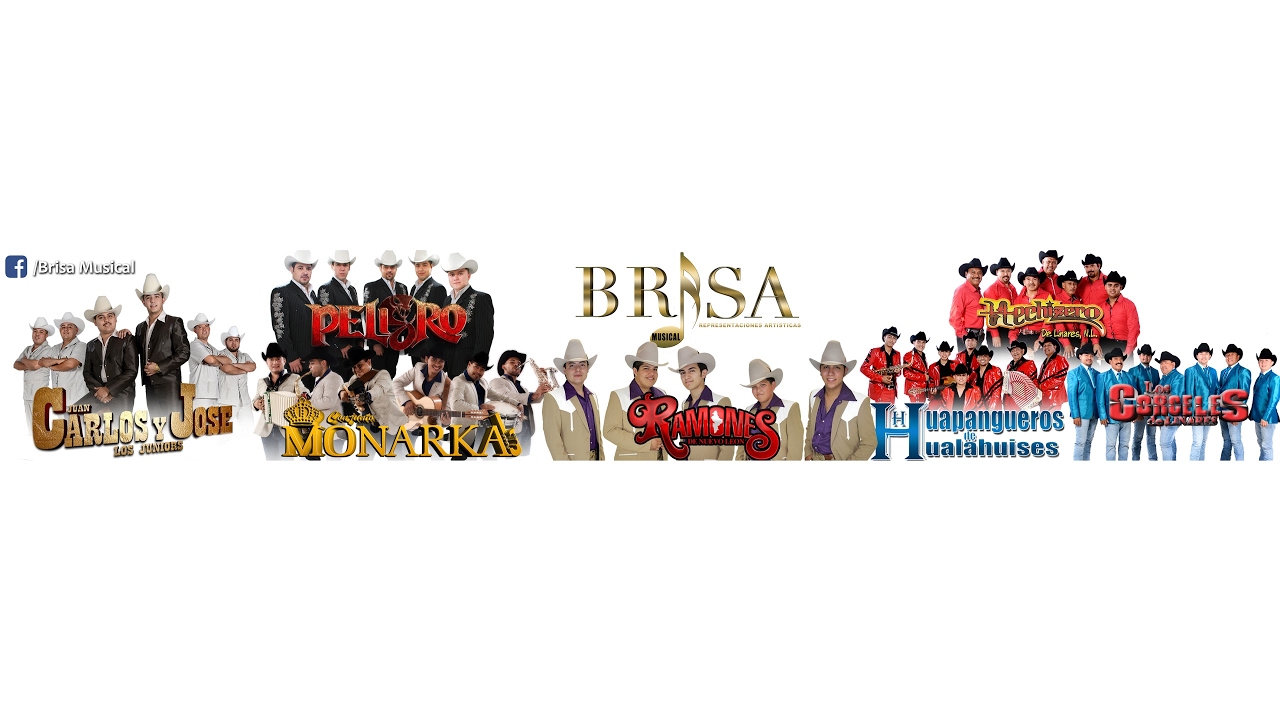 chat brisa musical