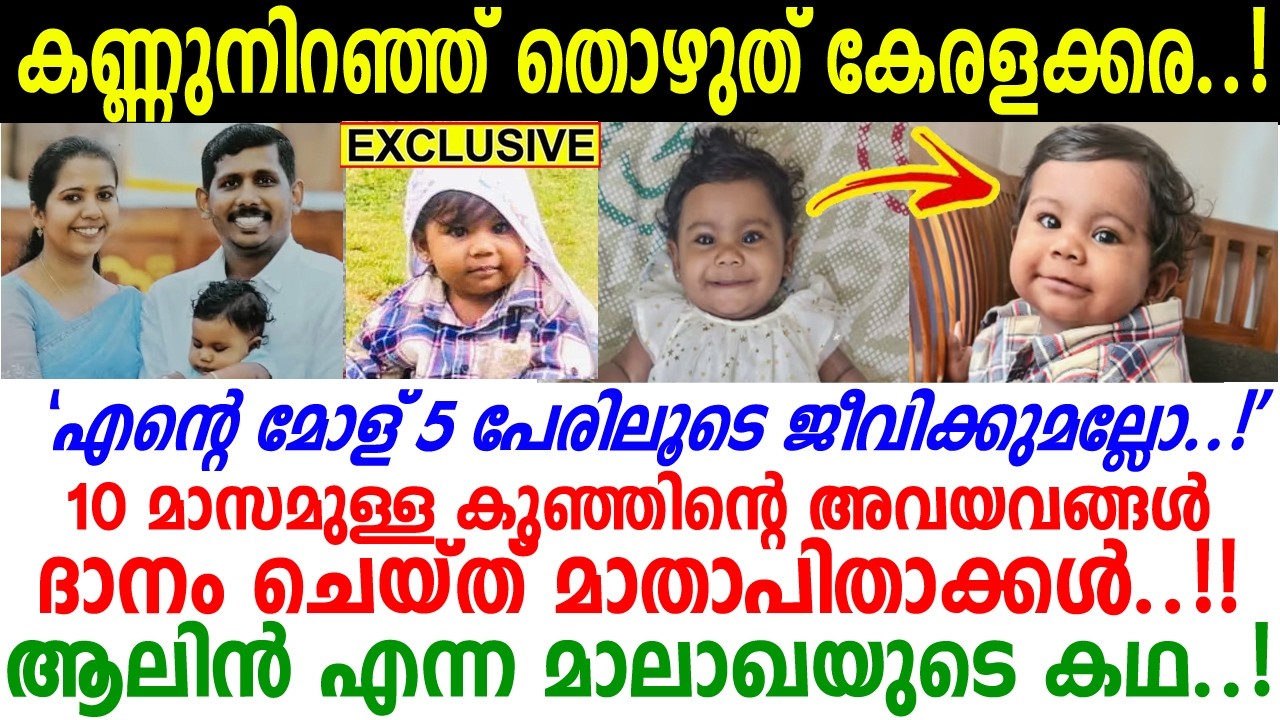 'കണ്ട് കൊതിതീര്‍ന്നില്ല പൊന്നേ!!' പക്ഷേ ആ തീരുമാനമെടുത്ത് ആലിന്‍ മോളുടെ അച്ഛനമ്മമാര്‍ | Aalin Sherin
