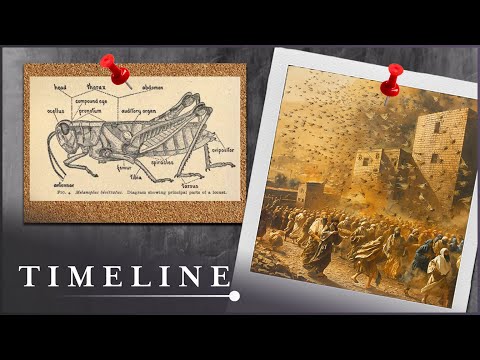 Exodus: The Founding Myth Of The Israelites | The Exodus Decoded | Timeline