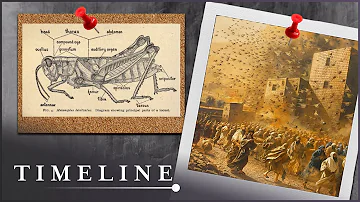 Is There Scientific Proof Of The Bible's Plagues | The Exodus Decoded | Timeline