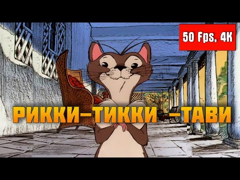 ▶ Рикки-Тикки-Тави (1975)【4K, 50Fps】- Реставрация. (Чак Джонс / Chuck Jones)