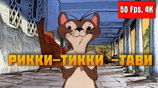 ▶ Рикки-Тикки-Тави (1975)【4K, 50Fps】- Реставрация. (Чак Джонс / Chuck Jones)