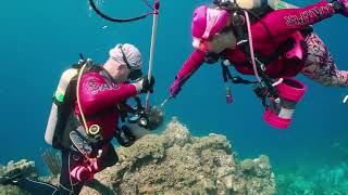 ZooKeeper 2024 Curacao Lionfish Derby Day