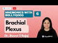 Mnemonics with Bollywood | Brachial Plexus | Dr. Jhanvi S Bajaj