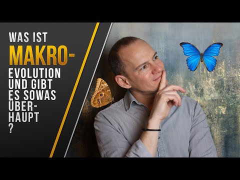 Video 8 - Mikro und Makro-Evolution