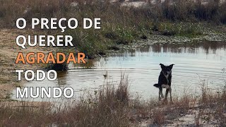 A Síndrome Do Bonzinho