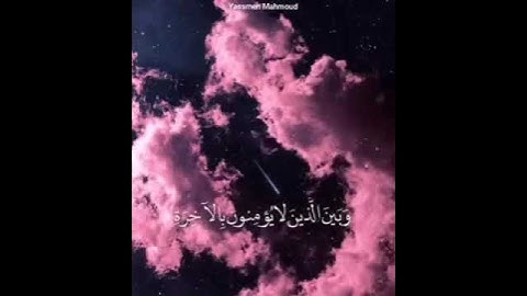 قرآن كريم بصوت القارئ سعيد الخطيب 💜